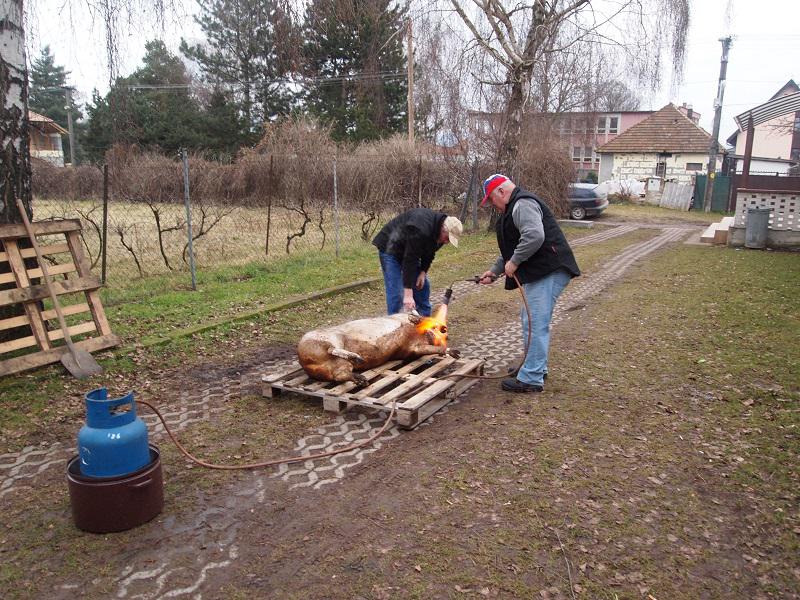 Fotogaléria Fašiangy, karneval 2016 (15) Fašiangy, karneval 2016